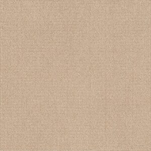 Anderson Tuftex Carpet Alluring Straw 00222_ZZ316