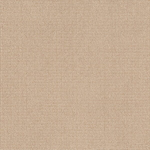 Anderson Tuftex Carpet Alluring Straw 00222_ZZ316