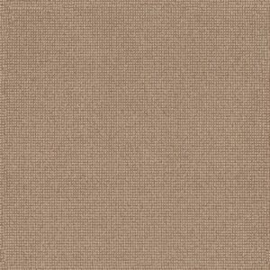 Anderson Tuftex Carpet Alluring Topaz 00223_ZZ316