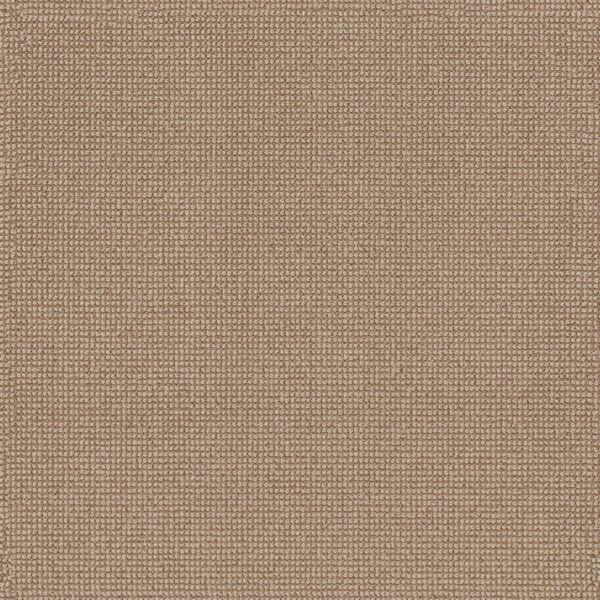 Anderson Tuftex Carpet Alluring Topaz 00223_ZZ316