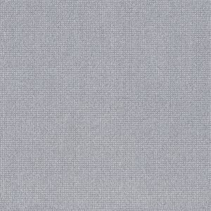 Anderson Tuftex Carpet Alluring Opaline 00441_ZZ316