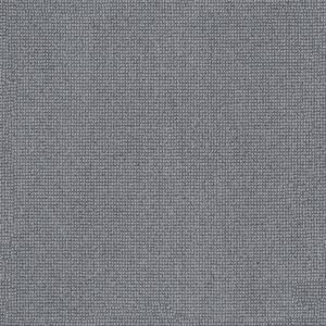 Anderson Tuftex Carpet Alluring Haze 00443_ZZ316