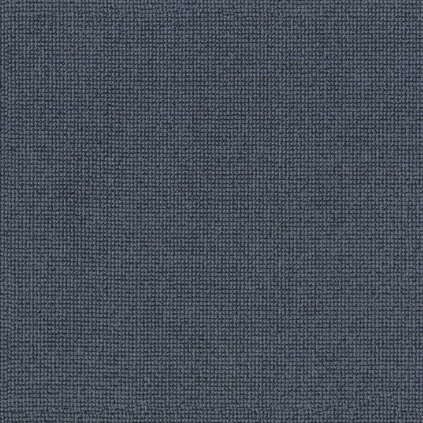 Anderson Tuftex Carpet Alluring Indigo 00447_ZZ316