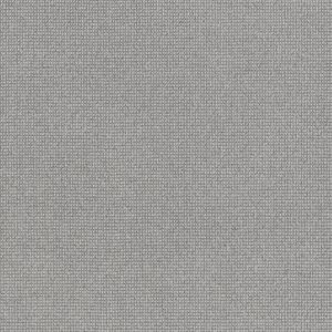 Anderson Tuftex Carpet Alluring Titanium 00552_ZZ316