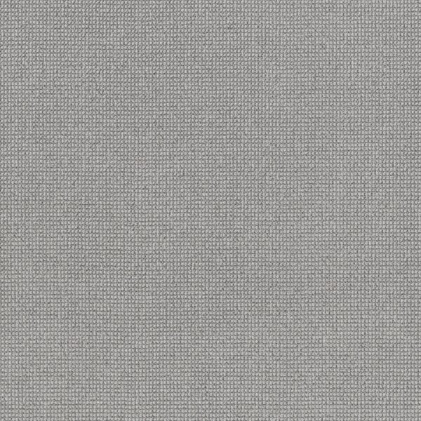 Anderson Tuftex Carpet Alluring Titanium 00552_ZZ316