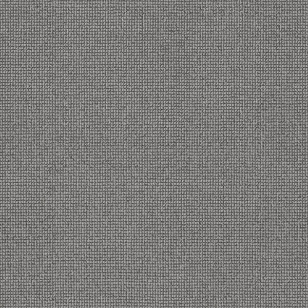 Anderson Tuftex Carpet Alluring Nickel 00553_ZZ316