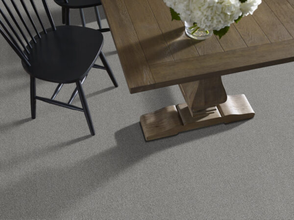 Anderson Tuftex Carpet Alluring Nickel 00553_ZZ316 - Image 2