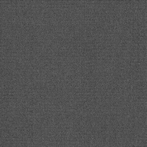 Anderson Tuftex Carpet Alluring Obsidian 00555_ZZ316