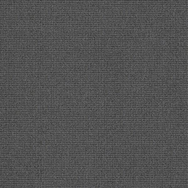 Anderson Tuftex Carpet Alluring Obsidian 00555_ZZ316