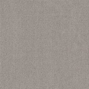 Anderson Tuftex Carpet Alluring Tin 00571_ZZ316