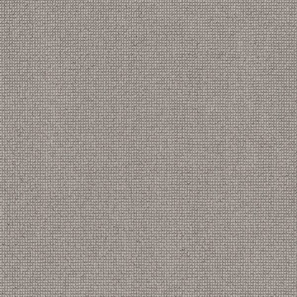 Anderson Tuftex Carpet Alluring Tin 00571_ZZ316