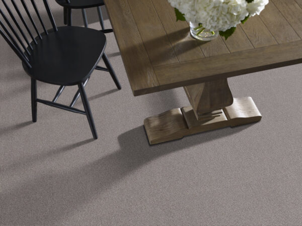 Anderson Tuftex Carpet Alluring Flagstone 00572_ZZ316 - Image 2