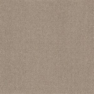 Anderson Tuftex Carpet Alluring Rattan 00712_ZZ316