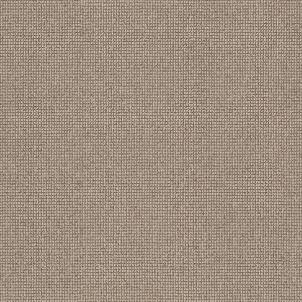 Anderson Tuftex Carpet Alluring Rattan 00712_ZZ316