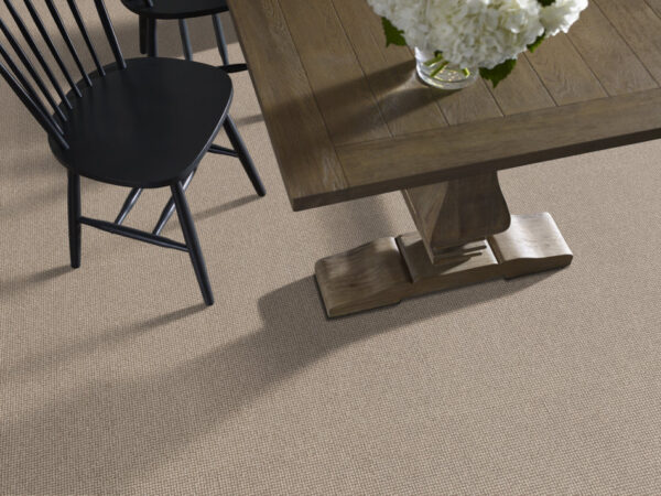 Anderson Tuftex Carpet Alluring Rattan 00712_ZZ316 - Image 2