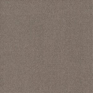Anderson Tuftex Carpet Alluring Mohair 00753_ZZ316