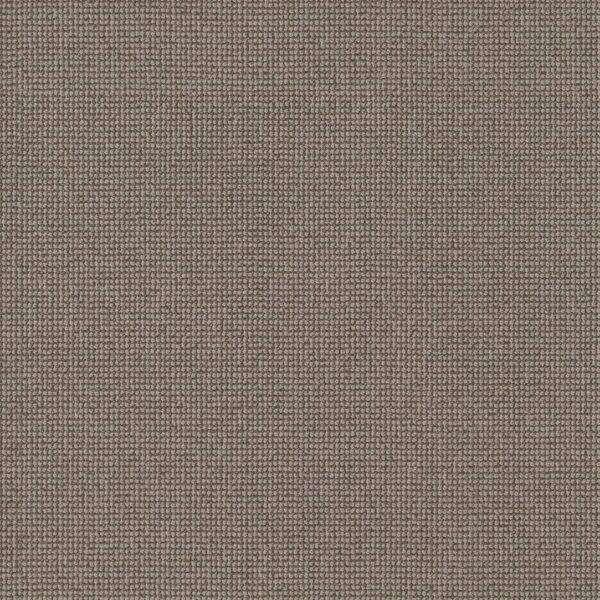 Anderson Tuftex Carpet Alluring Mohair 00753_ZZ316