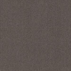 Anderson Tuftex Carpet Alluring Meteorite 00775_ZZ316