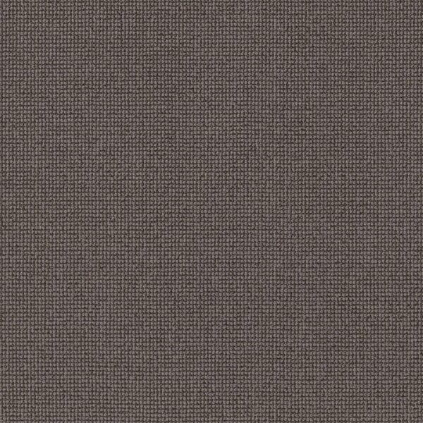 Anderson Tuftex Carpet Alluring Meteorite 00775_ZZ316