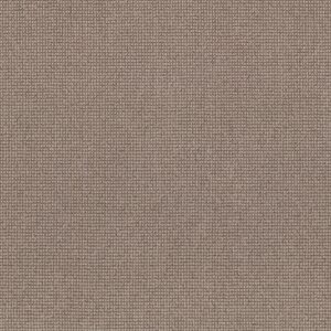 Anderson Tuftex Carpet Alluring Clay 00782_ZZ316