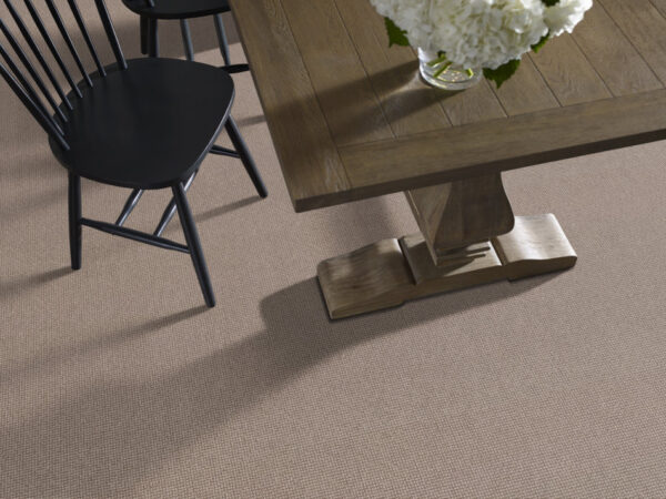 Anderson Tuftex Carpet Alluring Clay 00782_ZZ316 - Image 2
