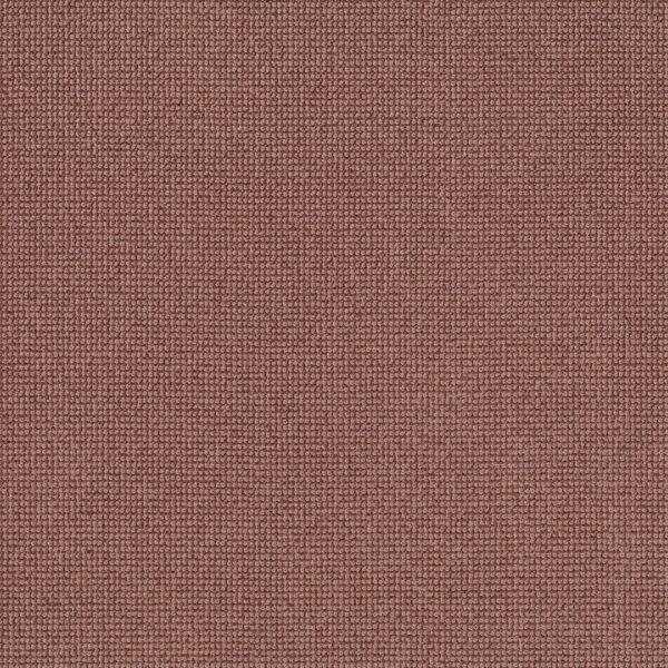 Anderson Tuftex Carpet Alluring Copper 00864_ZZ316