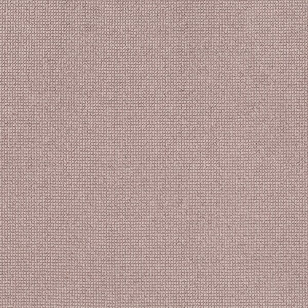 Anderson Tuftex Carpet Alluring Blossom 00881_ZZ316