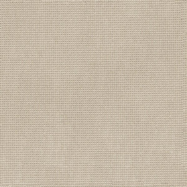 Anderson Tuftex Carpet Inspired Papyrus 00113_ZZ317
