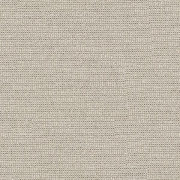 Anderson Tuftex Carpet Inspired Birchbark 00121_ZZ317
