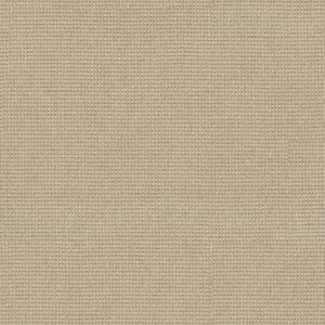 Anderson Tuftex Carpet Inspired Straw 00222_ZZ317