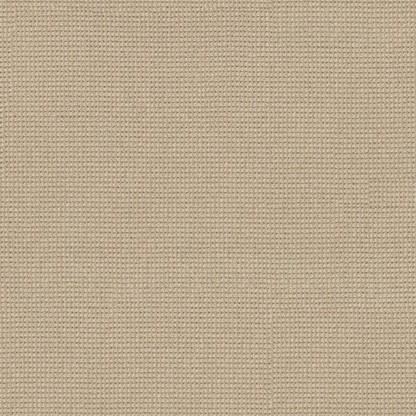 Anderson Tuftex Carpet Inspired Straw 00222_ZZ317