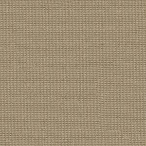 Anderson Tuftex Carpet Inspired Topaz 00223_ZZ317