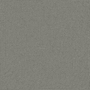 Anderson Tuftex Carpet Inspired Nickel 00553_ZZ317