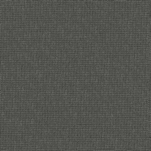 Anderson Tuftex Carpet Inspired Obsidian 00555_ZZ317
