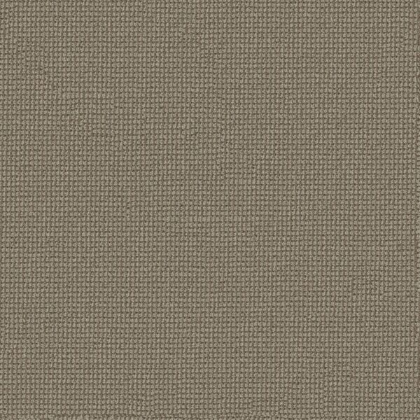 Anderson Tuftex Carpet Inspired Mohair 00753_ZZ317