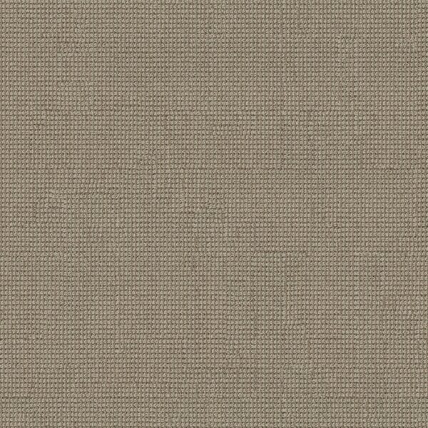 Anderson Tuftex Carpet Inspired Clay 00782_ZZ317