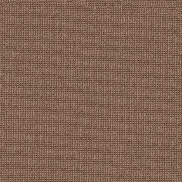Anderson Tuftex Carpet Inspired Copper 00864_ZZ317