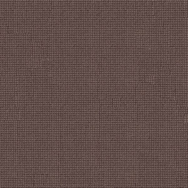 Anderson Tuftex Carpet Inspired Mahogany 00894_ZZ317