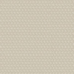 Anderson Tuftex Carpet Havencrest Ivory 00112_ZZ318