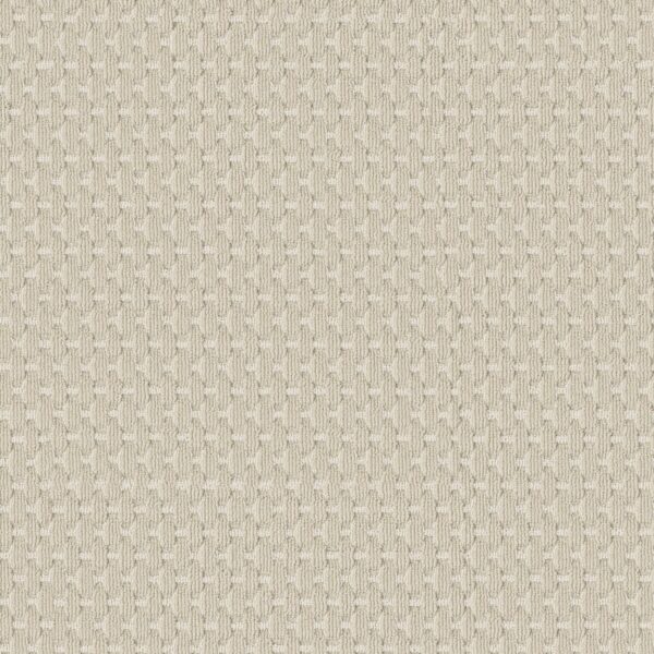 Anderson Tuftex Carpet Havencrest Ivory 00112_ZZ318