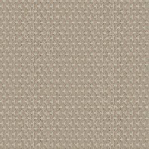 Anderson Tuftex Carpet Havencrest Cashmere 00114_ZZ318