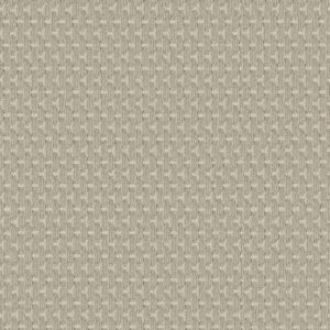 Anderson Tuftex Carpet Havencrest Jute 00115_ZZ318