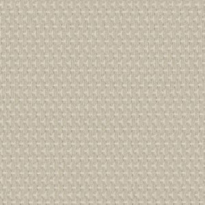 Anderson Tuftex Carpet Havencrest Birchbark 00121_ZZ318