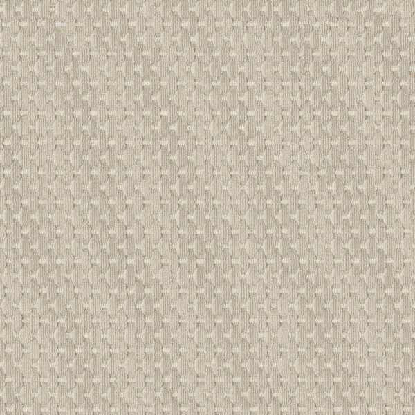 Anderson Tuftex Carpet Havencrest Birchbark 00121_ZZ318