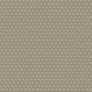 Anderson Tuftex Carpet Havencrest Gypsum 00171_ZZ318