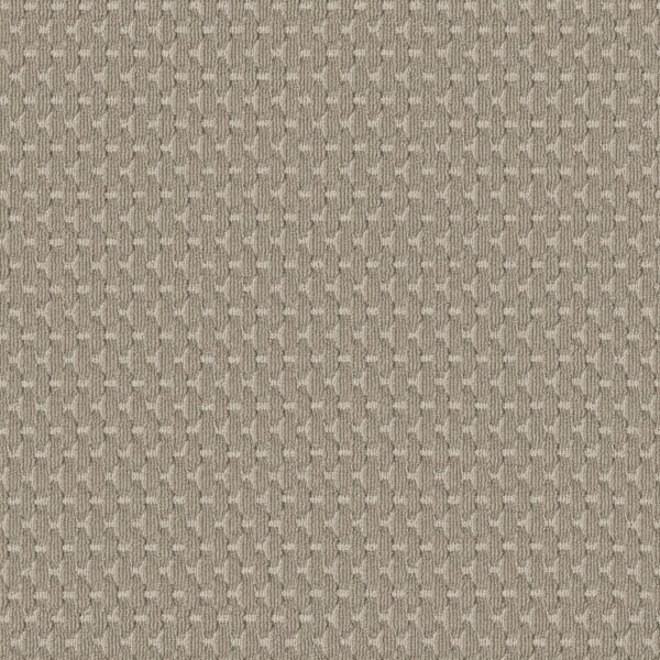 Anderson Tuftex Carpet Havencrest Gypsum 00171_ZZ318