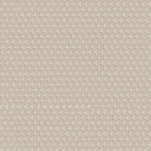 Anderson Tuftex Carpet Havencrest Linen 00212_ZZ318