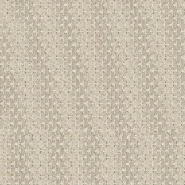 Anderson Tuftex Carpet Havencrest Linen 00212_ZZ318