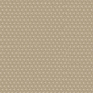 Anderson Tuftex Carpet Havencrest Raffia 00214_ZZ318