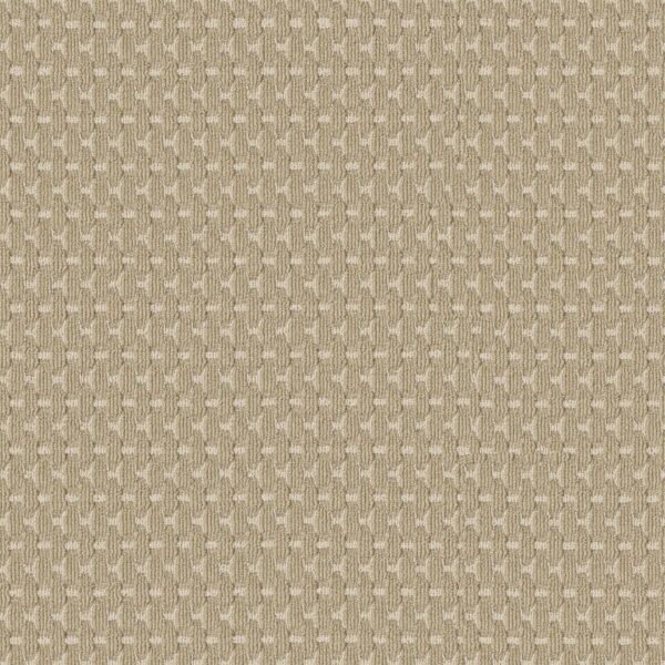 Anderson Tuftex Carpet Havencrest Raffia 00214_ZZ318
